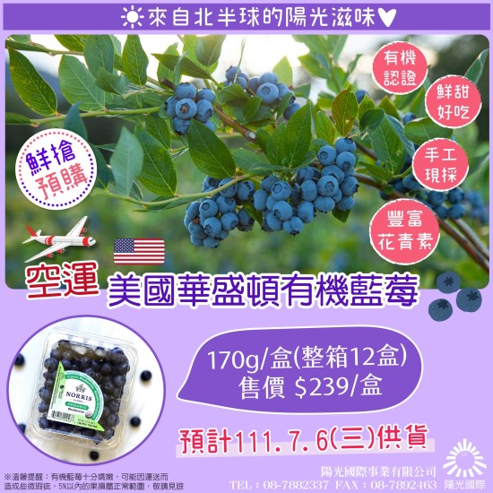 藍莓（五月底及七月上市）