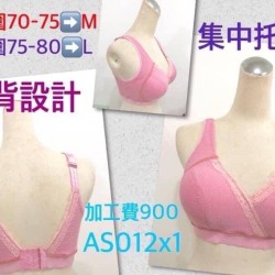 加工品: 多功能內衣 工資:900元