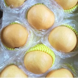 甘露梨2入（八月上市）