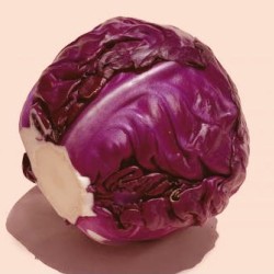 紫高麗菜