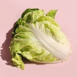 包心白菜