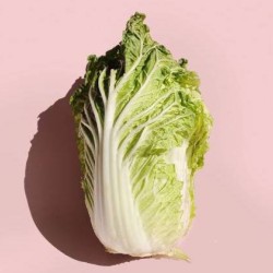 黃金白菜
