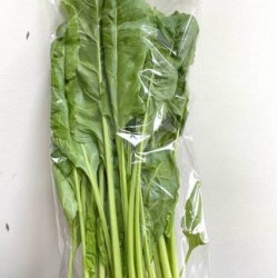 菠菜